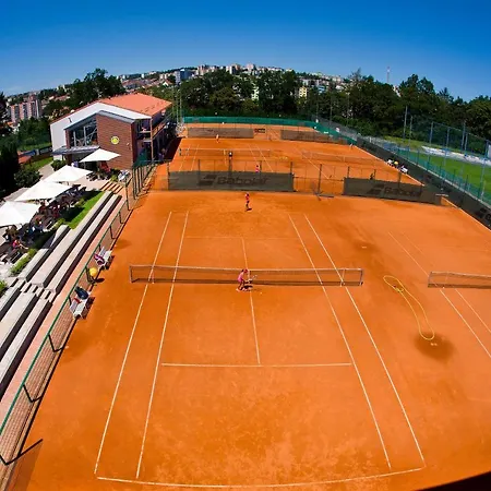 Tenis Htk