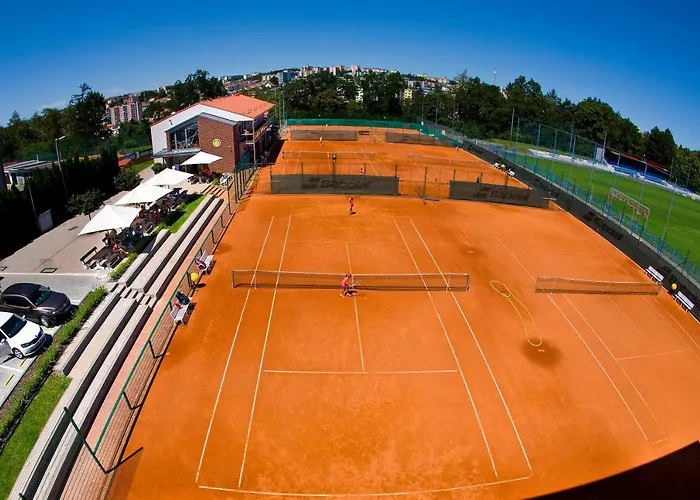 Tenis Htk